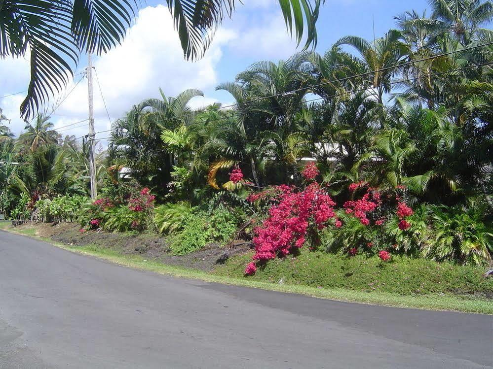 Aaron'S Cottage Hilo Exterior foto
